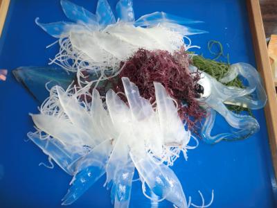 「佐賀へ行こう！」で行ってきた