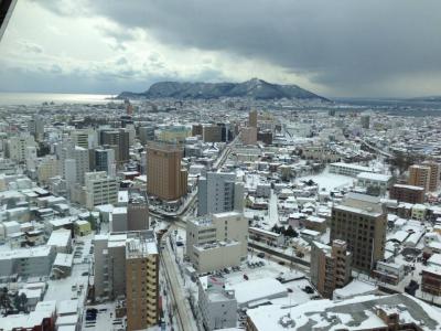 冬の函館！そして東京は大雪...