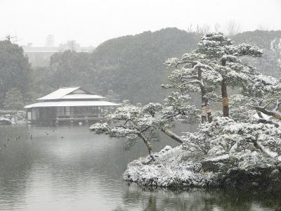 雪降る清澄庭園