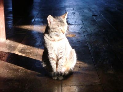 バガンで初日の出　ミャンマー紀行