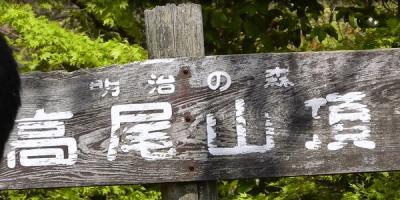 高尾山　日帰り