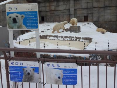 '13年末恒例？北海道旅行④～「4日目は、夕張から札幌に移動し、円山動物園へ・・」
