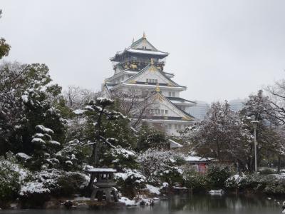 大阪城、雪化粧 2014.2月