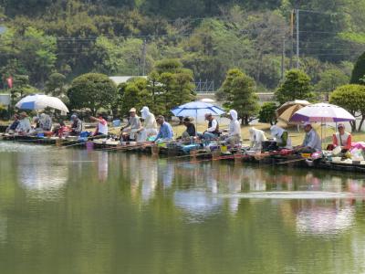 佐倉市散策（４２）・・印旛沼周辺の釣り場を訪ねます。