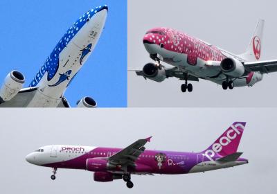 沖縄県航空写真集 ふるさと飛行 - メルカリ