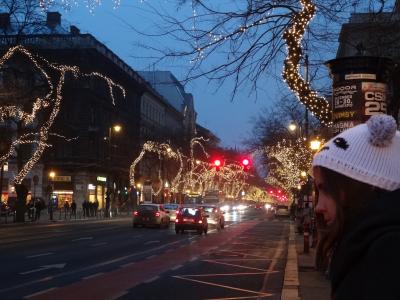 2013クリスマス～2014年始　ウィーン、ブダペスト（ハンガリー）、チェコ、ザイフェン（ドイツ）、パリ　②