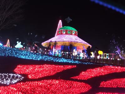 東京ドイツ村　Winter Illumination 2013-2014