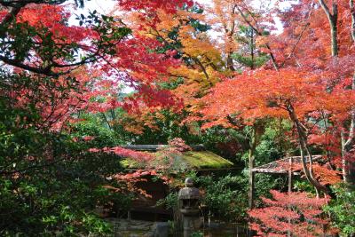 秋の京都～その１～錦市場・妙心寺