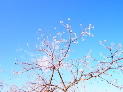 2014☆冬の温泉まったり１泊旅行☆