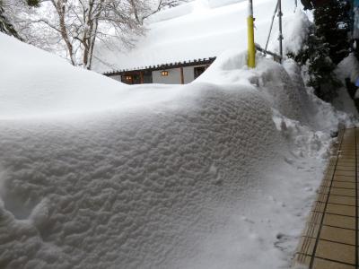 ここは雪国か　～秩父から脱出せよ～