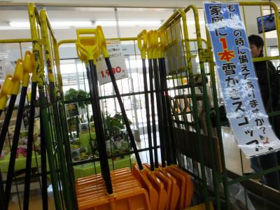 異常気象で迷走