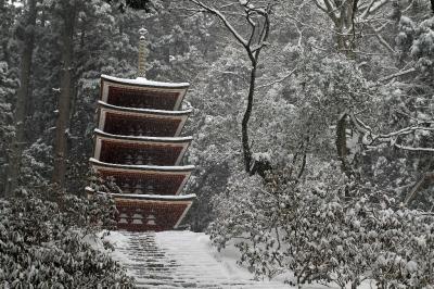 奈良　大雪の室生寺　全山白皚々たる雪の室生寺　もう最高ですわ・・・・