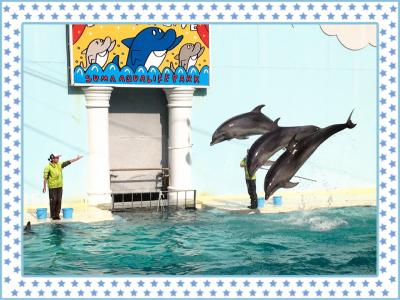 姪っ子ちゃんとスマスイ☆　神戸市立須磨海浜水族園