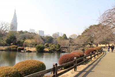 春はもうすぐ【新宿御苑】　それにしても大雪の被害がここまでとは・・・