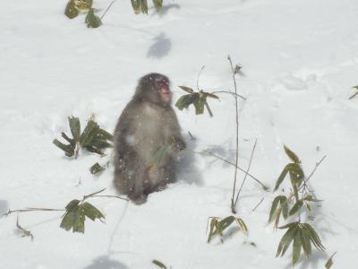 雪の奥日光は、別世界