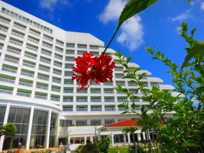 2014年2月 週末、石垣島のホテルへ★青色に涙が止まりません！～ANAインターコンチネンタル石垣リゾート