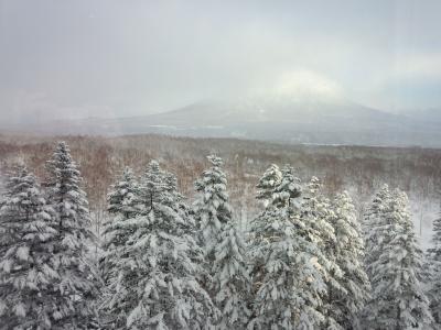 豪雪ニセコ旅