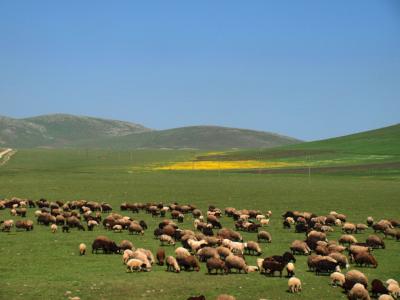 聖書の地を巡る  トルコ.ギリシャ.ローマ  (1)  東トルコ編  アララト山.ヴァン湖