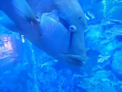 こんにちわ~、お伊勢さん~~~の旅。その2