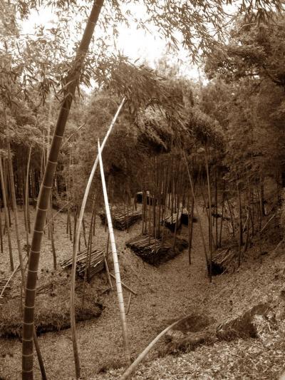 戦国時代最大の城郭の秘密ーーー。（小田原城総構え）