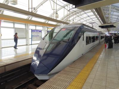 2014 弾丸 香港・マカオ 旅行 一日目