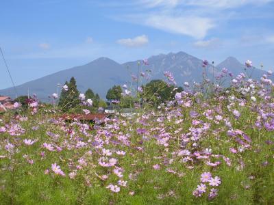 ２０１３年９月２６日ー２８日。秋の山梨県甲府温泉めぐり。。。その１「甲斐路の湯　ドーミーイン甲府」と「八ヶ岳倶楽部」