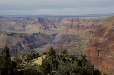 準グランドサークル親子制覇編　（グランドキャニオン）