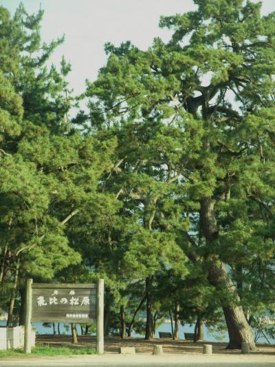 気比の松原に立ち寄り敦賀港よりフェリーの旅へ