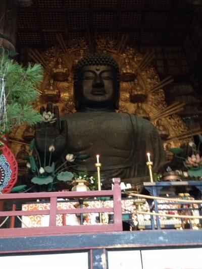 真冬の奈良・京都・大阪-1-