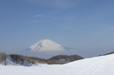 世界遺産　富士山を望む　素晴らしいザ･プリンス 箱根1泊旅行＆駒ケ岳ロープウェイ