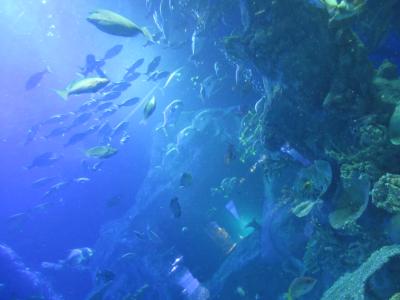 しまかぜから伊勢へ～鳥羽水族館編～