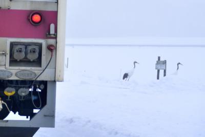 冬の北海道、道東・道央地方を巡る旅 ～釧路湿原のタンチョウに会いに茅沼駅に訪れてみた～