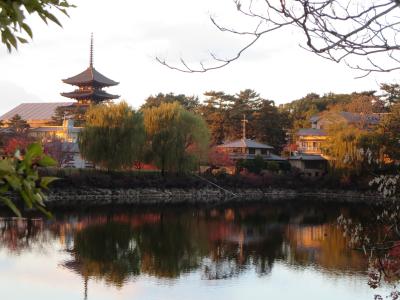 夏への扉さん、ようこそ奈良へ～♪☆ヘビメタ２姉妹＆ＪＯＥＣＯＯＬさんで奈良ホテルでお茶（＾◇＾）