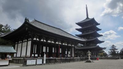 興福寺-西国三十三カ所９番札所 後編