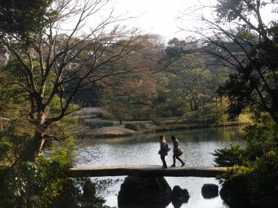 駒込の六義園（国の特別名勝）を散策