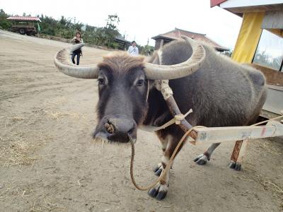 初☆石垣島・八重山諸島巡り女子2人旅 中半☆2014/2/21～23