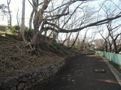 武蔵板橋　中山道板橋宿周辺に金沢文化を伝え２２万坪の敷地を所有した外様大名筆頭の『加賀藩前田家下屋敷跡』散歩