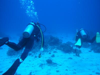 沖縄旅行記（３）ダイビング