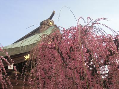 結城神社と月ヶ瀬梅林