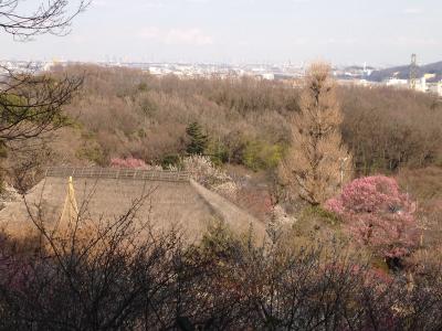 最後の梅まつりは人生初の百草園で