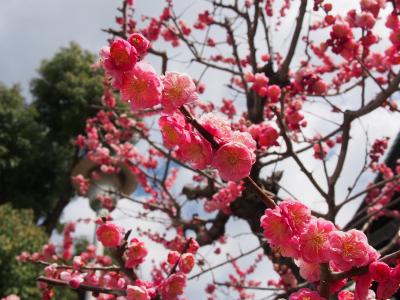 大阪天満宮へ