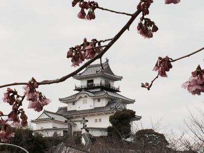 チャ、チャ、チャー（お茶）の掛川　春の旅