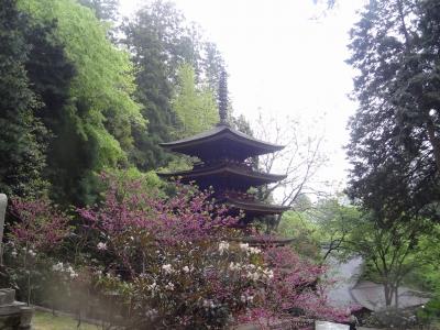 花の季節に訪ねる奈良−1(まずは一人、女人高野と大神神社)