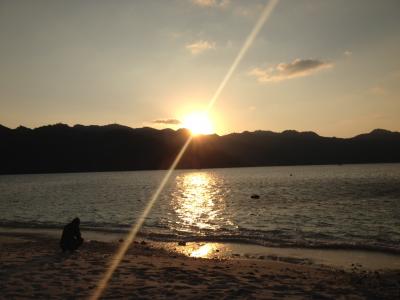 2013~2014 年末年始は小笠原でダイビング! 父島編