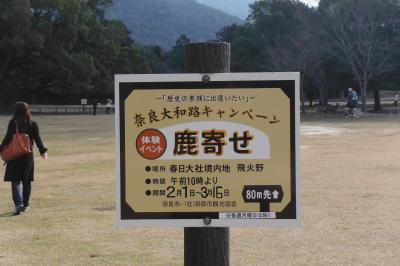 奈良二月堂・おみずとり～違うおみずを沢山取った私達？！