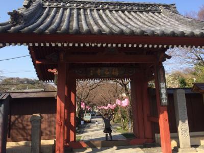 鎌倉時代の図書館 金沢文庫と称名寺