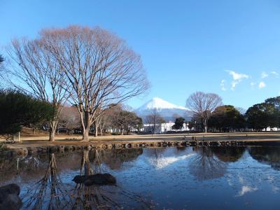 自転車でウロウロ…2014.02.16 =富士市内=