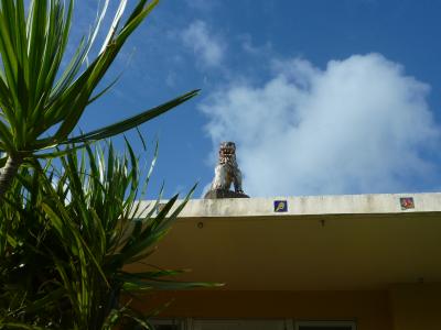 直行便で近くなった石垣へ　その１　川平湾で遊ぶ。