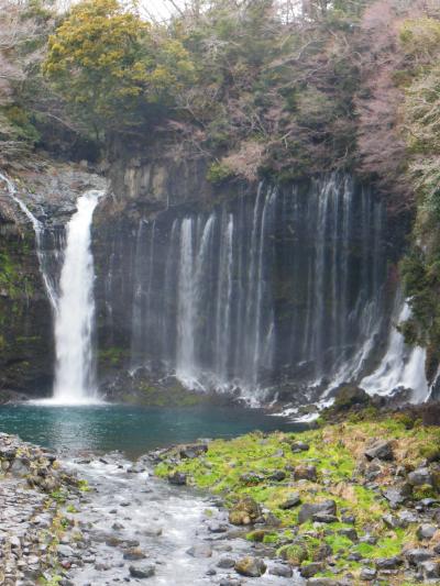 常に富士山を見ながら歩く富士山麗ウオーク３月コース～1日雨でした