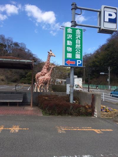 山の動物園…金沢動物園
